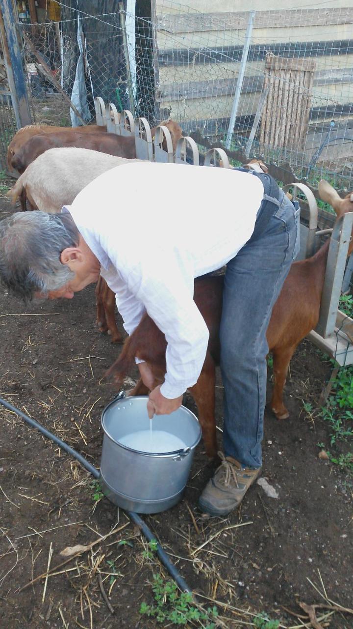 Nurazzolas Villaputzu Zewnętrze zdjęcie